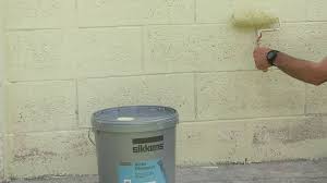 Vous pouvez également utiliser une peinture d'intérieur acrylique pour réaliser votre projet. Peindre Un Mur Exterieur En 11 Etapes