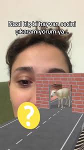 Abi çok zor bi oyun