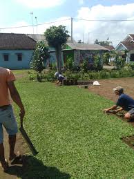 We did not find results for: Jual Rumput Gajah Mini Di Madiun Jual Rumput Jepang Di Madiun Jual Rumput Golf Di Madiun Tahun 2021 Rumput Taman Malang