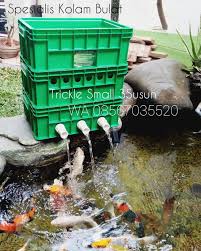 Pada jenis tertentu, filter juga dibuat khusus untuk. Jual Filter Kolam Koi 3susun Trickle Filter Small Kab Bogor Spesialis Kolam Bulat Tokopedia