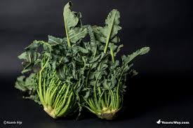 L broccolo fiolaro di creazzo si chiama fiolaro per la presenza di germogli (fioi, appunto in dialetto) che sono inseriti lungo il fusto della pianta e all'ascella delle foglie. Il Broccolo Fiolaro Di Creazzo Prodotto Tipico Veneto Venetoway Com