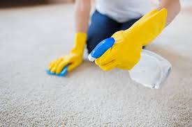 If the rug has fringes along the edges, gently scrub them using a laundry brush and the vinegar solution. How To Clean A Carpet With Vinegar The Housewire