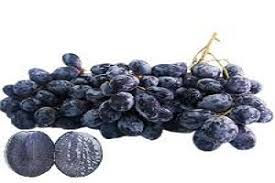 Jangan lupa buat guratan guratan sebagai bayangannya. 6000 Gambar Buah Anggur Hitam Hd Paling Baru Infobaru