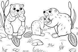 Signup to get the inside scoop from our monthly newsletters. Animal Families Coloring Pages Free Fun Printable Coloring Pages Of Animal Families For Everyone Printables 30seconds Mom
