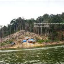 Royal belum state park | temenggor lake. Opening Of A New Settlement As Observed In Royal Belum State Park Download Scientific Diagram