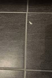 Image result for site:byggahus.se liten