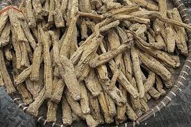 Chinese medicine sees the body as a system, not a sum of isolated parts. 9 Hair Loss Fighting Chinese Herbs Wellness Tourism Wellness Resort Guide Magazine And Consultancy By Dr Prem