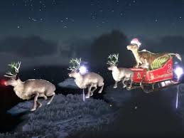 Afbeeldingsresultaat voor ark survival evolved