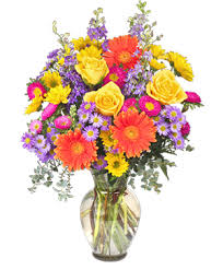 Your mother would probably prefer you celebrate her every day of the year, but in 2020 you'll be showering her with love and appreciation on may 10th. Mother S Day Flowers Tamarac Fl Je Flowers