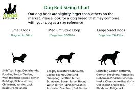 Dog Beds For Old Dogs Trendcrate