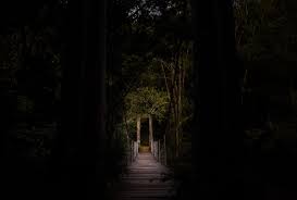 Filmmaking 101: Building Suspense