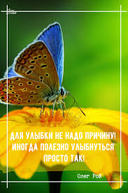 статусы на английском с переводом на русский про любовь Citaty Vyskazyvaniya Vyrazheniya Aforizmy Krylatye Frazy Iz Knig Pro Zhizn O Lyubvi Motivacionnye V 2020 G Citaty Krylataya Fraza Knigi