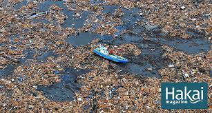 Dec 07, 2013 · the 2011 earthquake has been the subject of intense study ever since, and the trench that produced it is the best studied in the world. Japan S Wildlife Is Still Reeling From The 2011 Earthquake And Tsunami Hakai Magazine