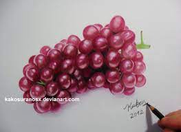 How To Draw Grapes With Colored Pencil Google Search Colored Pencil Tutorial Colored Pencil Drawing Tutorial Colored Pencils