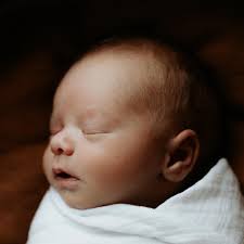 Lucy Lane Photography