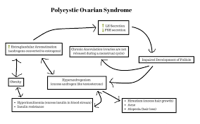 Pcos Hormone Chart Get Fit Go Figure