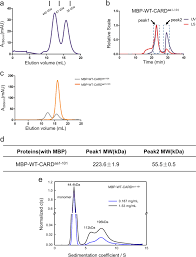 We did not find results for: Crystal Structure Of Caspase 11 Card Provides Insights Into Caspase 11 Activation Cell Discovery