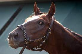 The 2021 preakness stakes is set to start at 6:50 p.m. Lo7mv8v8fsrgzm
