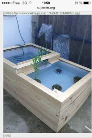 Petit Bassin Fait Grace A Une Cuve De 1000 L Coupe En Deux Petit Bassin Fait Grace A Une Cuve De 1000 L Coupe En Deu Arka Bahceler Bahce Fikirleri Fikirler