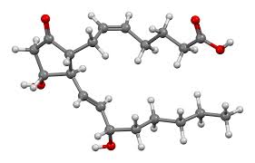 Dinoprostone is used in labor induction, bleeding after delivery, termination of pregnancy, and in newborn babies to keep the ductus arteriosus open. Prostaglandin E2 Wikiwand