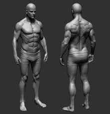 It is subdivided into gross anatomy and microscopic anatomy. Artstation Anatomy Practice Pavel Protasov Zbrush Anatomy Anatomy Practice Man Anatomy