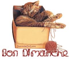 bon dimanche chat dans une boite Image, animated GIF