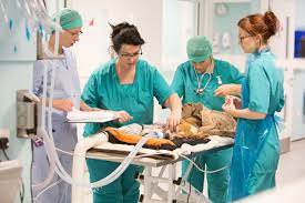 Check spelling or type a new query. Why Does Out Of Hours Veterinary Care Cost As Much As It Does What Happens To Emergency Vet Costs These Are Questions Emergency Vet Vet Costs Veterinary Care