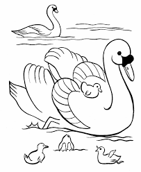 Bluebonkers Swan Family Easter Coloring Page Sheets 20 Easter Swan Family Coloring Pages Bird Coloring Pages Family Coloring Pages Coloring Pages