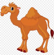Background orange png is about is about bactrian camel, cartoon, humour, camel, livestock. Ativity Camel Clip Art Gallery Camel Cartoo Png Image With Transparent Background Toppng