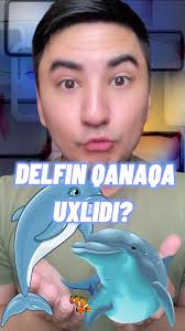 DELFINLA HAQIDA SIZ BILMAGAN FAKTLAR❤️ ⚠️Animal Facts⚠️ #dobriyoka  #uzbekiston #hayvonlar
