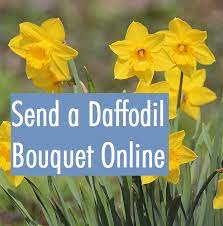 Send Daffodil Bouquets Send Flowers Worldwide