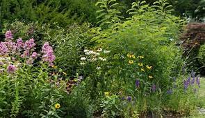 Don't make the mistake of using inappropriate plants for a shady area. 7 Surprising Edibles For The Rain Garden Hobby Farms
