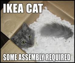 Ikea Cat Lustige Bilder Von Tieren Katzen Lustige Spruche Lustige Katzenbilder