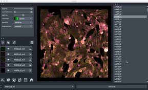 We did not find results for: The Largest Repository Of Validated Free And Subject Focused E Publications And Online Seminars In Analytical Science Covering Latest Techniques Equipment Original Research Editorials And Industry News And Trends