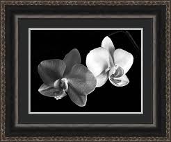 Black And White Floral Framed Art Pin On Favorite Art And Artists