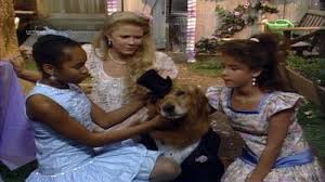 Where to watch punky brewster. Watch Punky Brewster Online Full Episodes Of Season 9 To 1 Yidio