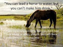 You Can Lead A Horse To Water But You Can T Make Him Drink Water Quotes Healing Quotes Equestrian Quotes