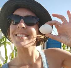 Volunteer opportunity in central Portugal sought