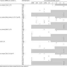 Image result for Hugonia platysepala