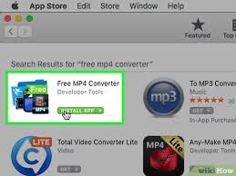 The converter is feature rich. How To Convert Avi To Mp4 On Mac 14 Steps With Pictures