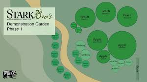 Guide those sturdy canes upward as they grow and tie to your vine support. Stark Bro S Nurseries Publications Facebook
