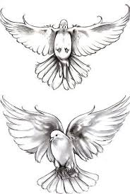 Black And White Pigeon Drawing Cute Black And Gray Doves For Women Style Black And Gray Color Gray Tags Cute Nice Dove Tattoo Design Dove Tattoo Dove Tattoos