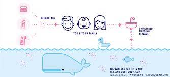 Microplastics Everywhere Athabasca Watershed Council