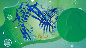 Computational protein design and protein structure prediction win Nobel  Prize in Chemistry | EMBL