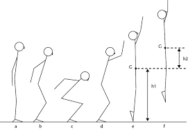 Check spelling or type a new query. 1 Stick Figure Sequence Of A Countermovement Vertical Jump From A Download Scientific Diagram
