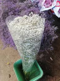ورود طبيعيه بالجمله home facebook