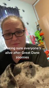 Great Dane Stuck in Water After Zoomies