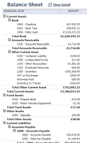 Simple Accounts And Financial Reports With Netsuite Saas