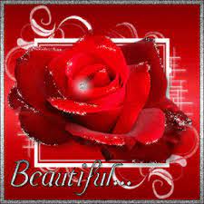 ورد متحرك رائع ورد متحرك صور ورد متحرك صور ورود متحركة roses moving pictures in 2020 beautiful flowers images flower images android wallpaper anime