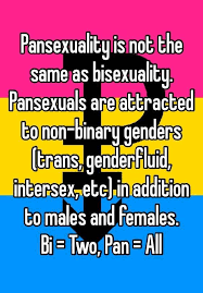 Pin On Pansexual